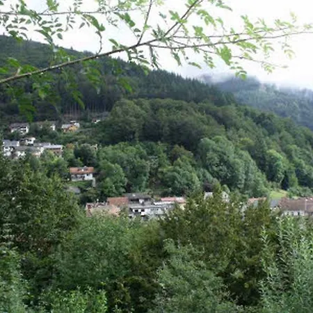 Haus Ellen Apartmán Todtnau